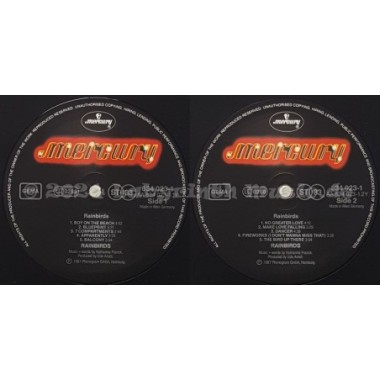 Rainbirds - Rainbirds • 12" Vinyl LP • NM - Labyrinth Music