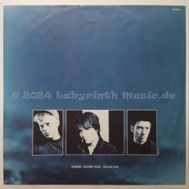 Rainbirds - Rainbirds • 12" Vinyl LP • NM - Labyrinth Music