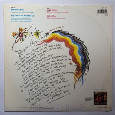 Dan Reed Network - Rainbow Child • 12" Vinyl Maxi • EX - Labyrinth Music