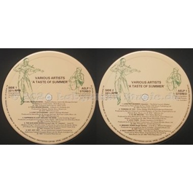 Various - A Taste Of Summer • 12" Vinyl LP • EX - Labyrinth Music
