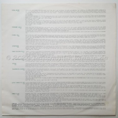 Chris Rea - Shamrock Diaries • 12" Vinyl LP - Labyrinth Music