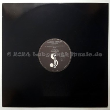 Dashiell Hedayat - Obsolete • 12" Vinyl LP - Labyrinth Music