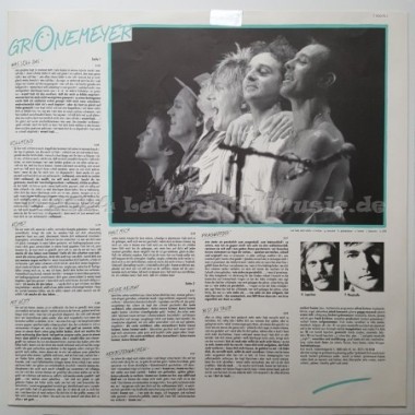 Herbert Grönemeyer - Ö • 12" Vinyl LP • EX - Labyrinth Music