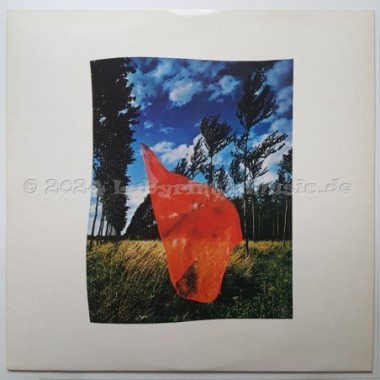 Pink Floyd - Wish You Were Here • 12" Vinyl LP • EX - Labyrinth Music