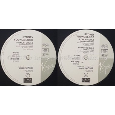 Sydney Youngblood - If Only I Could • 12" Vinyl Maxi • MINT - Labyrinth Music