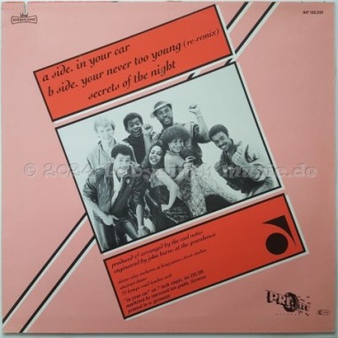 The Cool Notes - In Your Car • 12" Vinyl Maxi • MINT - Labyrinth Music