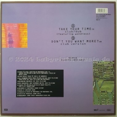 Mantronix Feat. Wondress - Take Your Time • 12" Vinyl Maxi • EX - Labyrinth Music