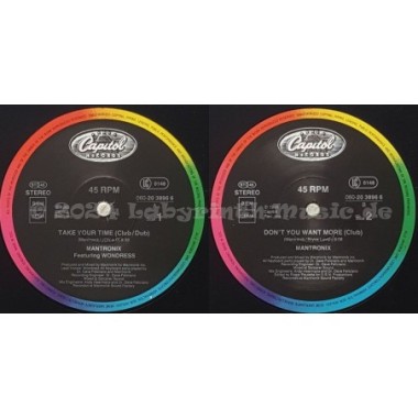Mantronix Feat. Wondress - Take Your Time • 12" Vinyl Maxi • EX - Labyrinth Music