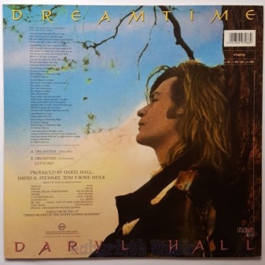 Daryl Hall - Dreamtime • Dance Mix • 12" Vinyl Maxi • EX - Labyrinth Music