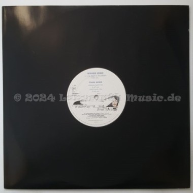 Pharao - Temple Of Love • 12" Vinyl Maxi • MINT - Labyrinth Music