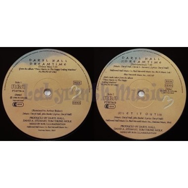 Daryl Hall - Dreamtime • Dance Mix • 12" Vinyl Maxi • EX - Labyrinth Music