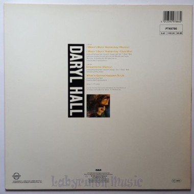 Daryl Hall - I Wasn't Born Yesterday • 12" Vinyl Maxi • NM - Labyrinth Music