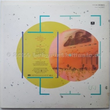 Duran Duran - The Wild Boys • 12" Vinyl Maxi • EX - Labyrinth Music
