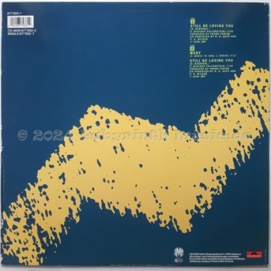 John Davis - Still Be Loving You • 12" Vinyl Maxi • EX - Labyrinth Music