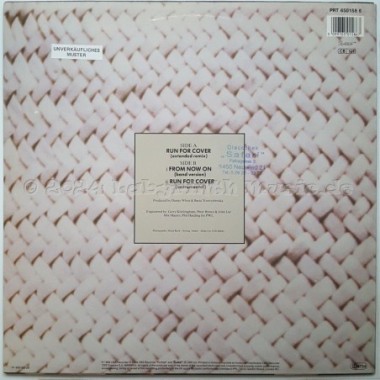 Basia - Run For Cover • 12" Vinyl Maxi • EX - Labyrinth Music