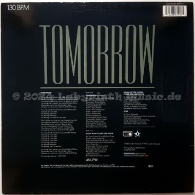 The Communards - Tomorrow • 12" Vinyl Maxi • EX - Labyrinth Music