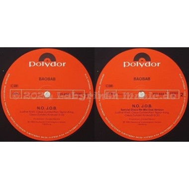 Baobab - N.o. J.o.b. • 12" Vinyl Maxi - Labyrinth Music