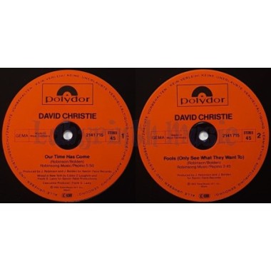 David Christie - Our Time Has Come • 12" Vinyl Maxi - Labyrinth Music