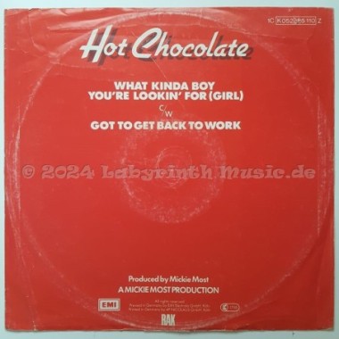 Hot Chocolate - What Kinda Boy You're Lookin' For • 12" Vinyl Maxi - Labyrinth Music