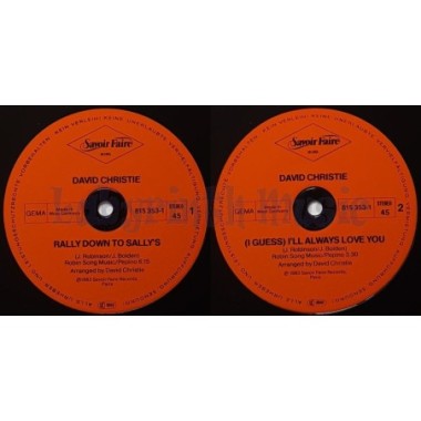 David Christie - Rally Down To Sally's • 12" Vinyl Maxi • EX - Labyrinth Music