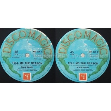 Alan Barry - Tell Me The Reason • 12" Vinyl Maxi • EX - Labyrinth Music