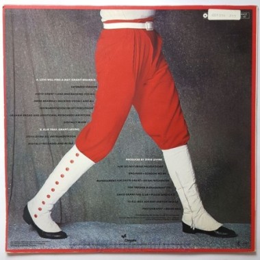 David Grant - Love Will Find A Way • 12" Vinyl Maxi • EX - Labyrinth Music