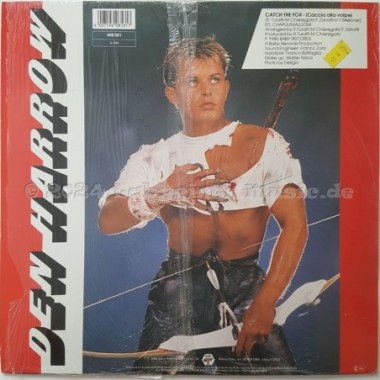 Den Harrow - Catch The Fox • 12" Vinyl Maxi - Labyrinth Music