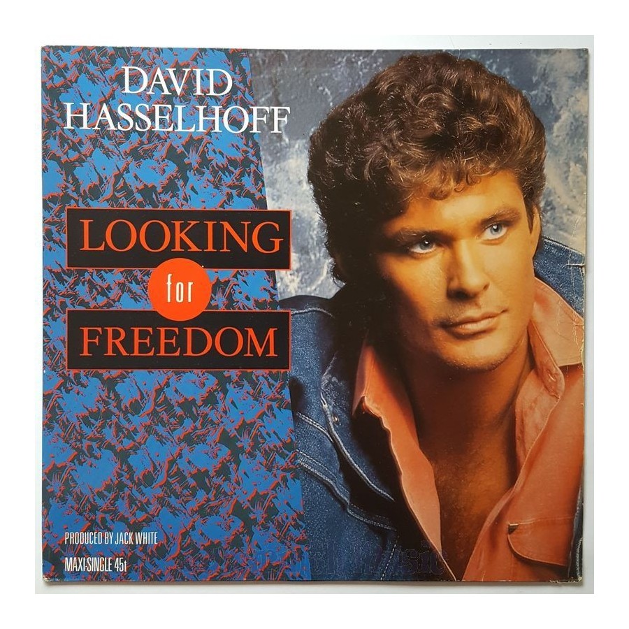 David Hasselhoff - Looking For Freedom • 12" Vinyl Maxi - Labyrinth Music