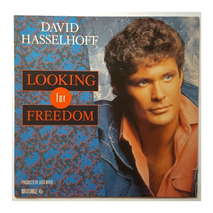 David Hasselhoff - Looking For Freedom • 12" Vinyl Maxi • EX - Labyrinth Music