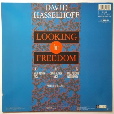 David Hasselhoff - Looking For Freedom • 12" Vinyl Maxi • EX - Labyrinth Music