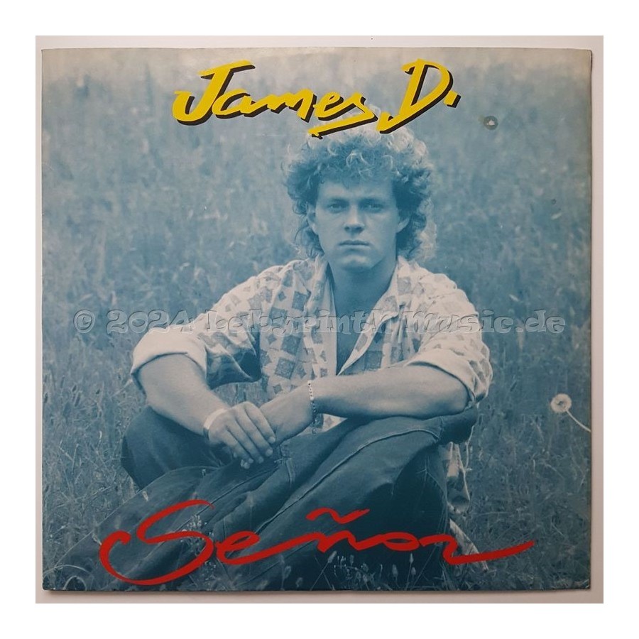 James D. - Senor • 12" Vinyl Maxi • NM - Labyrinth Music