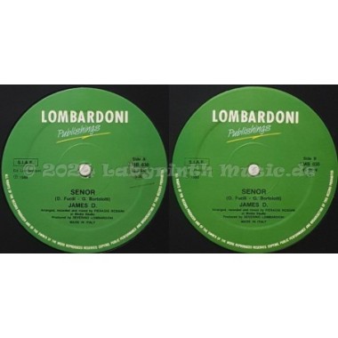 James D. - Senor • 12" Vinyl Maxi • NM - Labyrinth Music