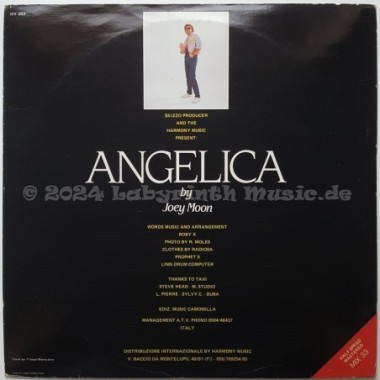 Joey Moon - Angelica • 12" Vinyl Maxi • EX - Labyrinth Music