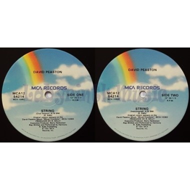 David Peaston - String • 12" Vinyl Maxi - Labyrinth Music