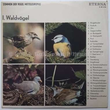 No Artist - Stimmen Der Vögel Mitteleuropas • I. Waldvögel • 12" Vinyl LP • EX - Labyrinth Music