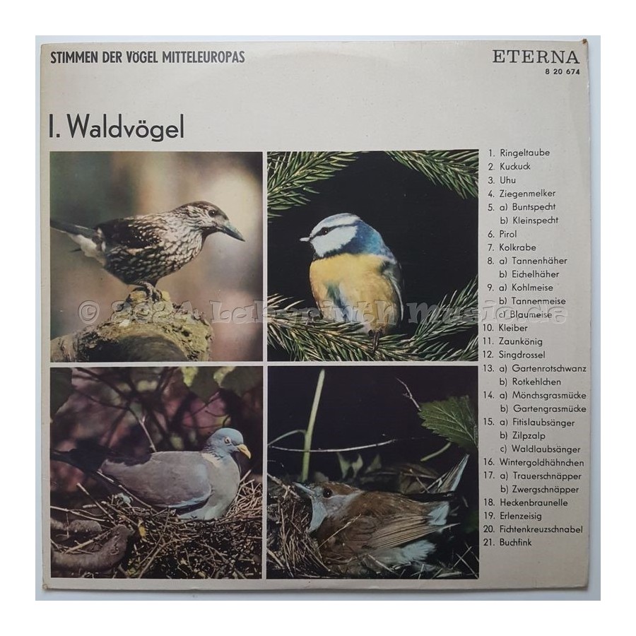 No Artist - Stimmen Der Vögel Mitteleuropas • I. Waldvögel • 12" Vinyl LP • EX - Labyrinth Music