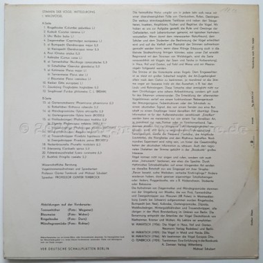 No Artist - Stimmen Der Vögel Mitteleuropas • I. Waldvögel • 12" Vinyl LP • EX - Labyrinth Music