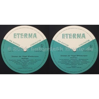 No Artist - Stimmen Der Vögel Mitteleuropas • I. Waldvögel • 12" Vinyl LP • EX - Labyrinth Music