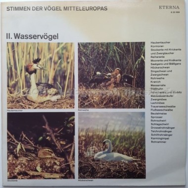 No Artist - Stimmen Der Vögel Mitteleuropas • II. Wasservögel • 12" Vinyl LP - Labyrinth Music