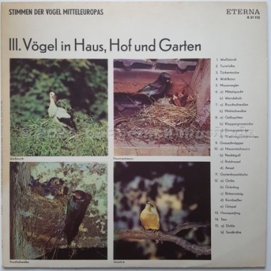 No Artist - Stimmen Der Vögel Mitteleuropas • III. Vögel In Haus, Hof Und Garten • 12" Vinyl LP • EX - Labyrinth Music