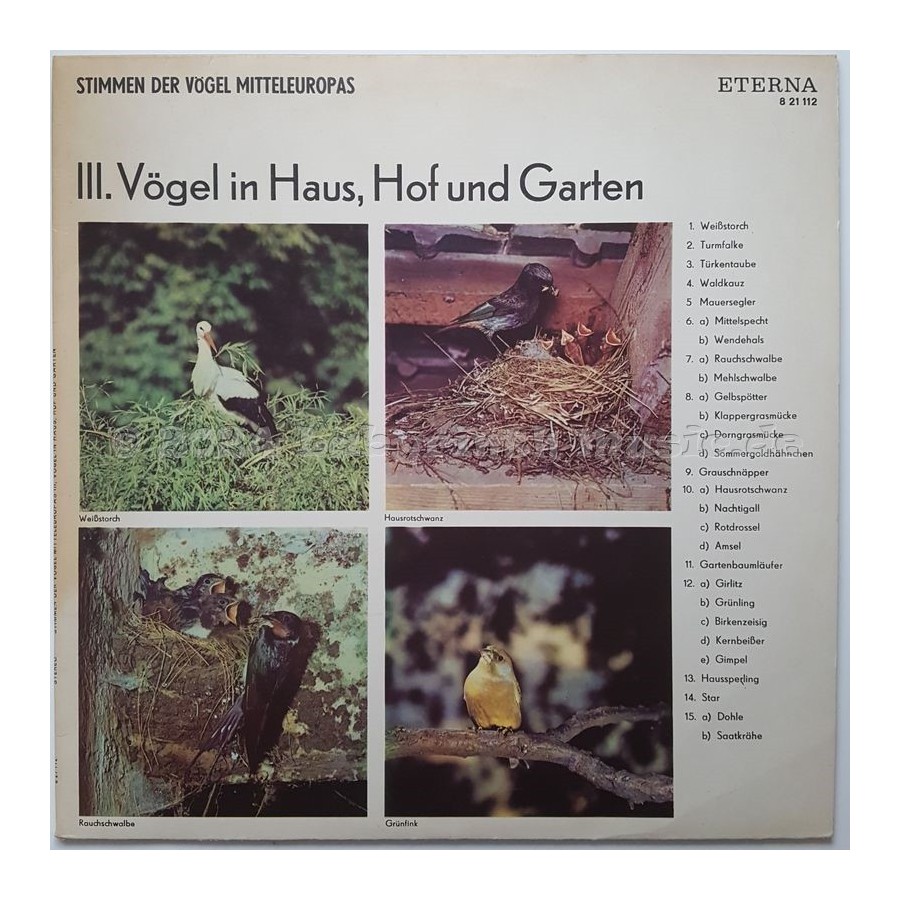 No Artist - Stimmen Der Vögel Mitteleuropas • III. Vögel In Haus, Hof Und Garten • 12" Vinyl LP • EX - Labyrinth Music