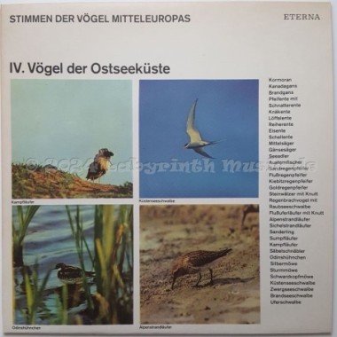 No Artist - Stimmen Der Vögel Mitteleuropas • IV. Vögel Der Ostseeküste • 12" Vinyl LP • EX - Labyrinth Music