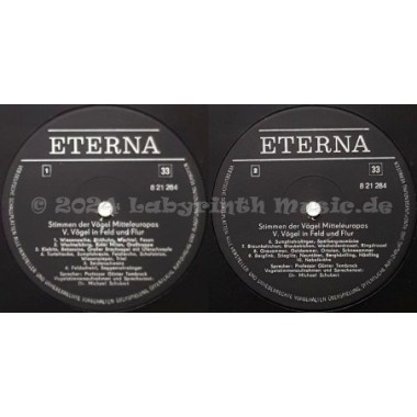 No Artist - Stimmen Der Vögel Mitteleuropas • V. Vögel In Feld Und Flur • 12" Vinyl LP • EX - Labyrinth Music