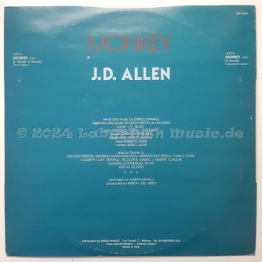 J.D. Allen - Monkey • 12" Vinyl Maxi • EX - Labyrinth Music