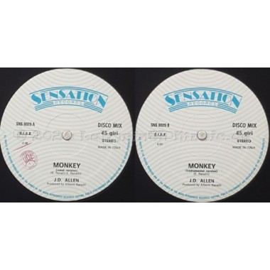 J.D. Allen - Monkey • 12" Vinyl Maxi • EX - Labyrinth Music