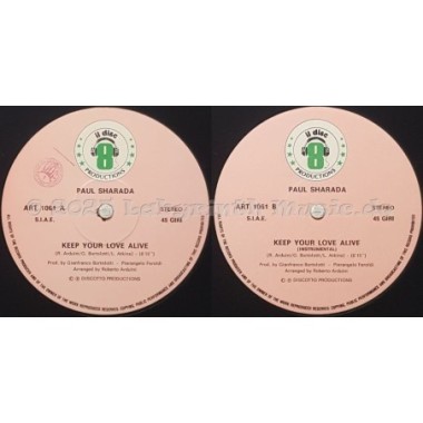 Paul Sharada - Keep Your Love Alive • 12" Vinyl Maxi - Labyrinth Music