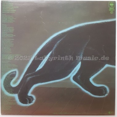 Al Di Meola - Electric Rendezvous • 12" Vinyl LP • EX - Labyrinth Music