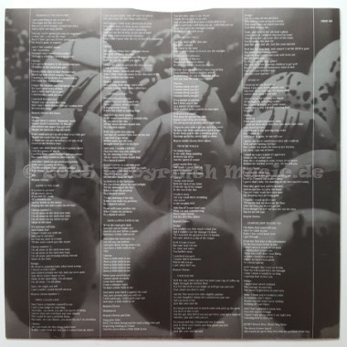 John Hiatt - Bring The Family • 12" Vinyl LP • MINT - Labyrinth Music