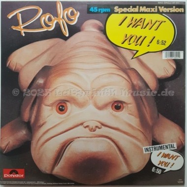 Rofo - I Want You • 12" Vinyl Maxi • MINT - Labyrinth Music