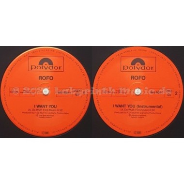 Rofo - I Want You • 12" Vinyl Maxi • MINT - Labyrinth Music